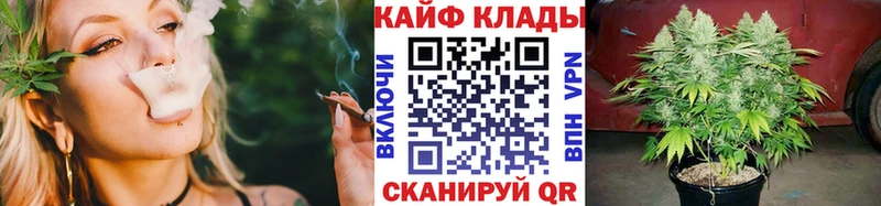  COCAIN Новотитаровская